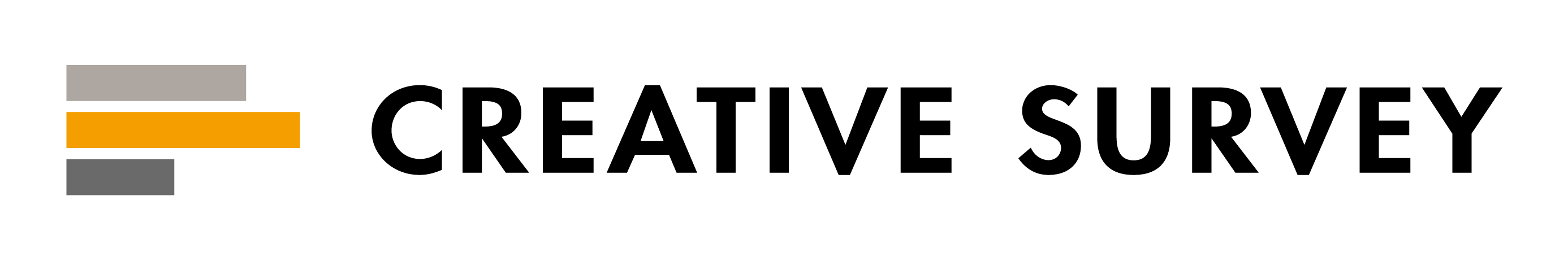 CREATIVE SURVEY